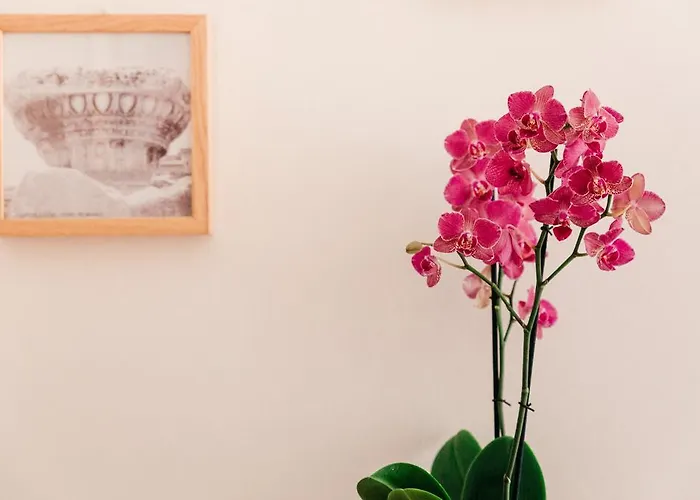 Adriano Augusto Bed & Breakfast 5*